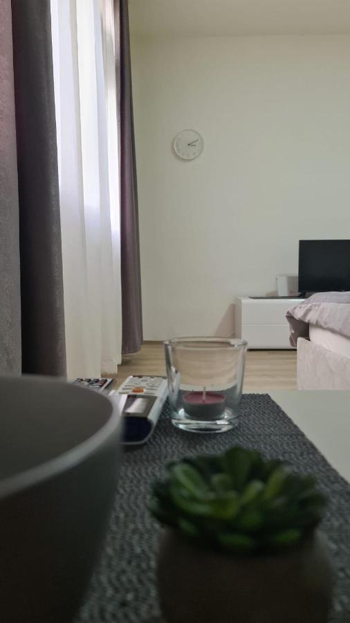 Apartman Pavlovic Leskovac  Esterno foto